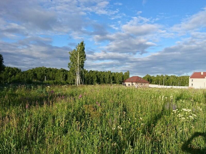 Участки под ижс в челябинске. Осиновка Челябинская область. Челябинск деревня Копытово. Соколиная гора Челябинск Сосновский район. Европейский поселок Челябинск Сосновский район.