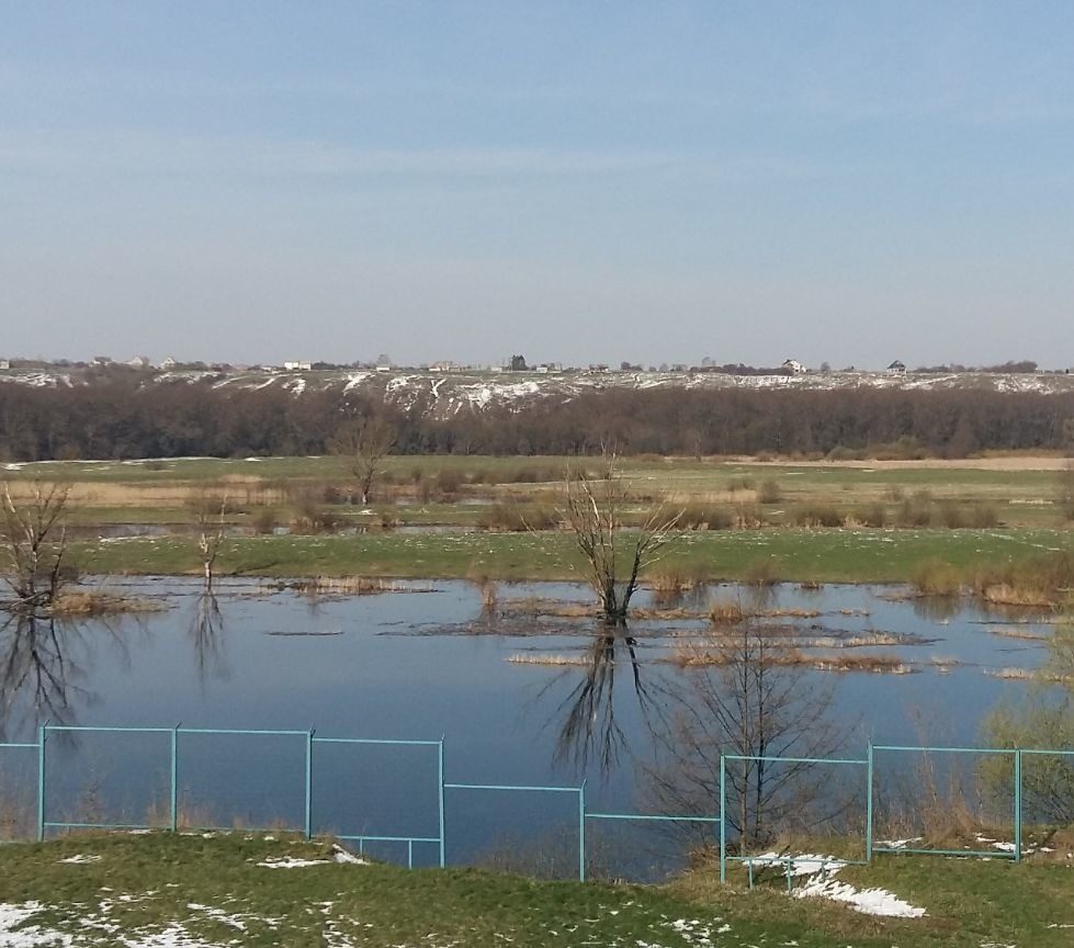 Парк Нелжа Воронеж