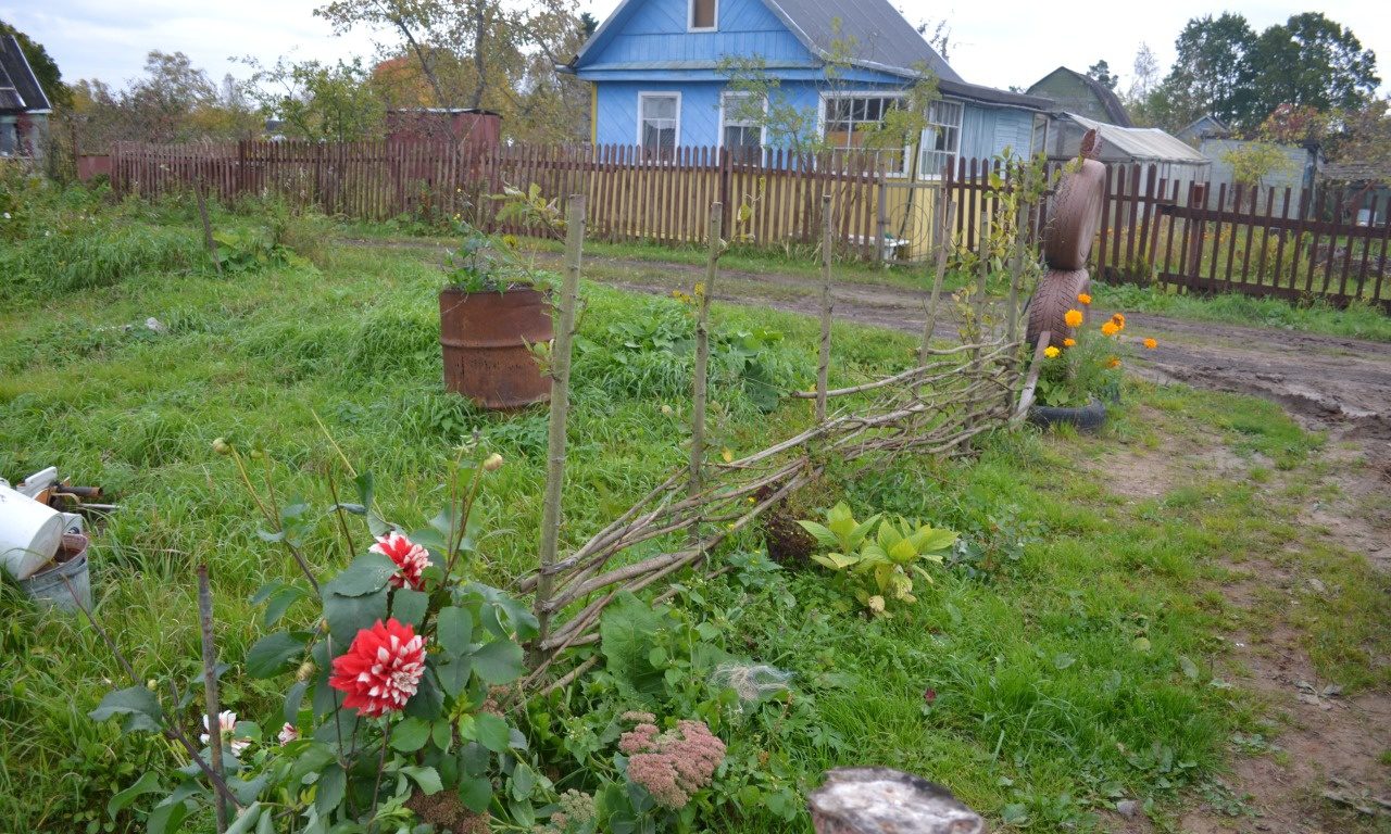 Панковка великий новгород фото