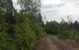 Земельные участки - Ленинградская область, Рощино, ул Южная фото 1