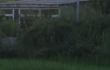Дома, дачи, коттеджи - Крымский полуостров, Белогорск, пгт.Зуя Белогорский район фото 1