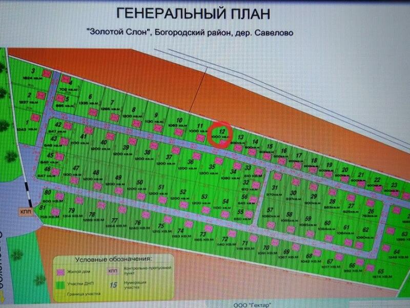 Проект территория богородский