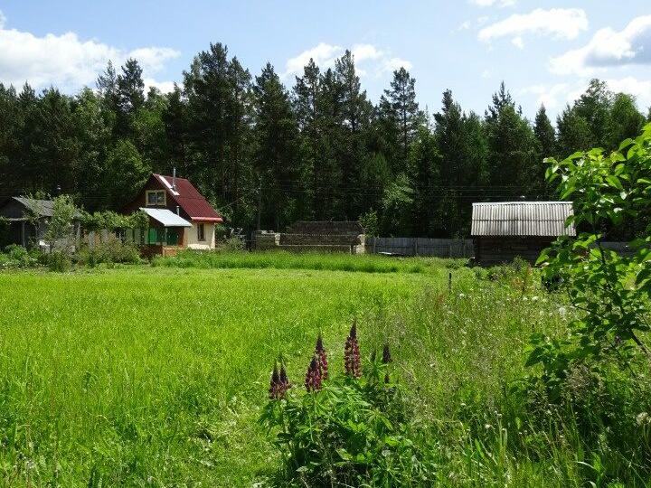 Сад Купить В Снт Свердловской Области