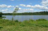 Земельные участки - Санкт-Петербург, Новгородская обл. Окуловский р-он фото 1