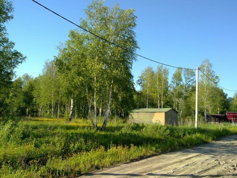 Садовый участок новосибирск. СНТ тальник. СНТ тальник Новосибирск. Пос садовый Новосибирская область. Поселок тальник Новосибирск коттедж.