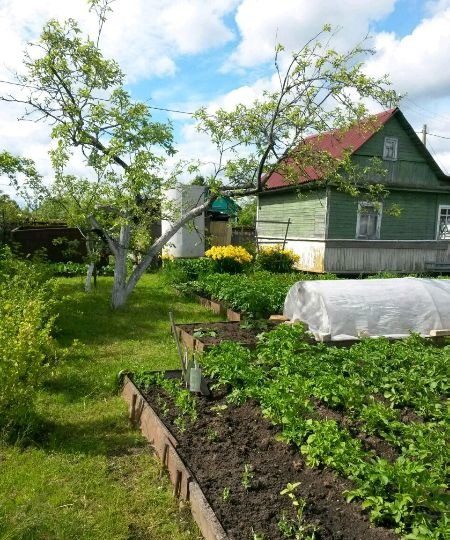 Панковка великий новгород фото