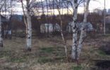 Земельные участки - Вологодская область, Череповец, Шайма фото 1