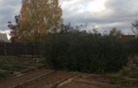 Дома, дачи, коттеджи - Иркутская область, Братск, буреломная, 21 фото 1