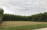 Земельные участки - Тульская область, Заокский, Яковлево фото 1
