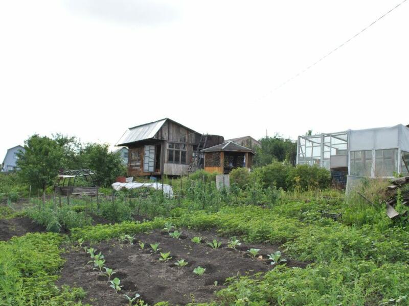 Дачу кузнецовское плато красноярск. Кузнецовское плато Красноярск СНТ ручеёк. Участок 10 соток. СНТ земельный участок. Участок 8 соток.