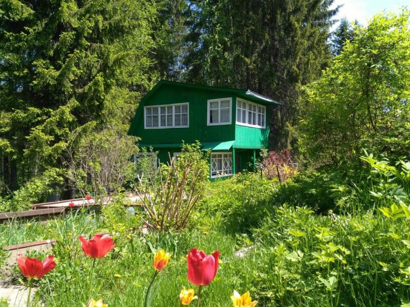 Дачи в перми. Лесной уголок на даче. СНТ электрон 2 Пермь. Новые ляды п, кооператив 