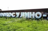 Земельные участки - Екатеринбург, ДНП Новокосулино, ул. Вторая линия фото 1