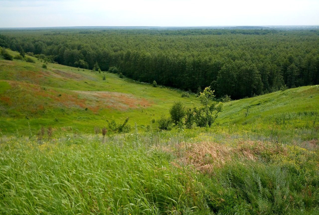 Купить Дом Никольское Липецкий Район