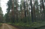 Земельные участки - Вологодская область, Кадуй, Кооператив Энергетик -3 фото 1