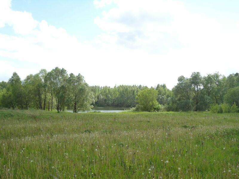 Участок нижегородская. Деревня Дуденево Богородский район. Пляж Дуденево Богородский район. Дуденево Богородский район фото. Участок на берегу озера Богородский район.