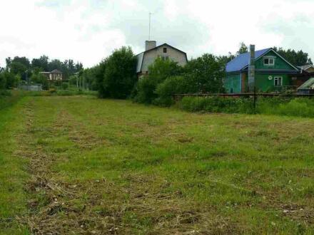 Ближнее борисово нижегородская область. Село Ближнее Борисово Нижний Новгород. С. Борисово, ул. новая, д.40. Фото ближнего Борисова улица новая дом 10. Участок купить Ближнее Борисово.