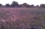 Земельные участки - Белгород, дубовое, ананасовая 66 фото 1
