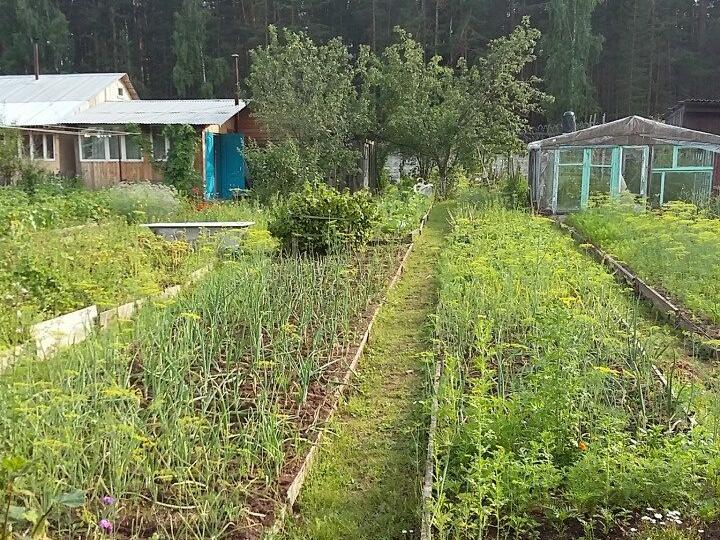 Дачи В Кировском Районе Перми Купить Недорого