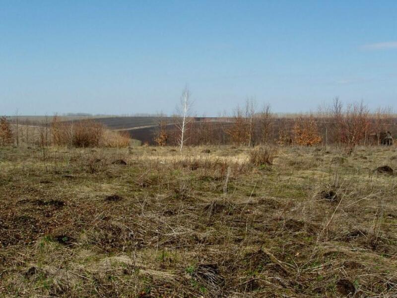 Земельный участок воронеж. Участки ИЖС У воды Воронеж.