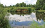 Земельные участки - Новгородская область, Пестово фото 1