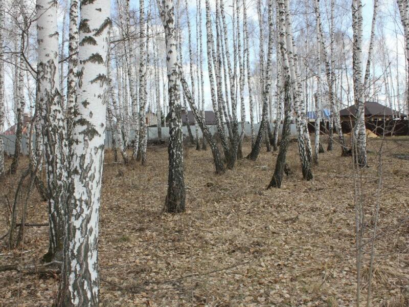 Земельные участки челябинск. Участки земельный поселок Западный Челябинск. Челябинская область, р-н. Сосновский, СНТ. 