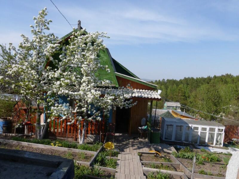 Дачи в красноярске. Красноярский край участок садовый. Дача в крутой Красноярск. Дача Красноярск туретская 87. Дача Красноярск посмотреть.