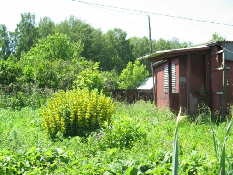 Купить Дачу В Снт Лесоустроитель Новосибирской Области