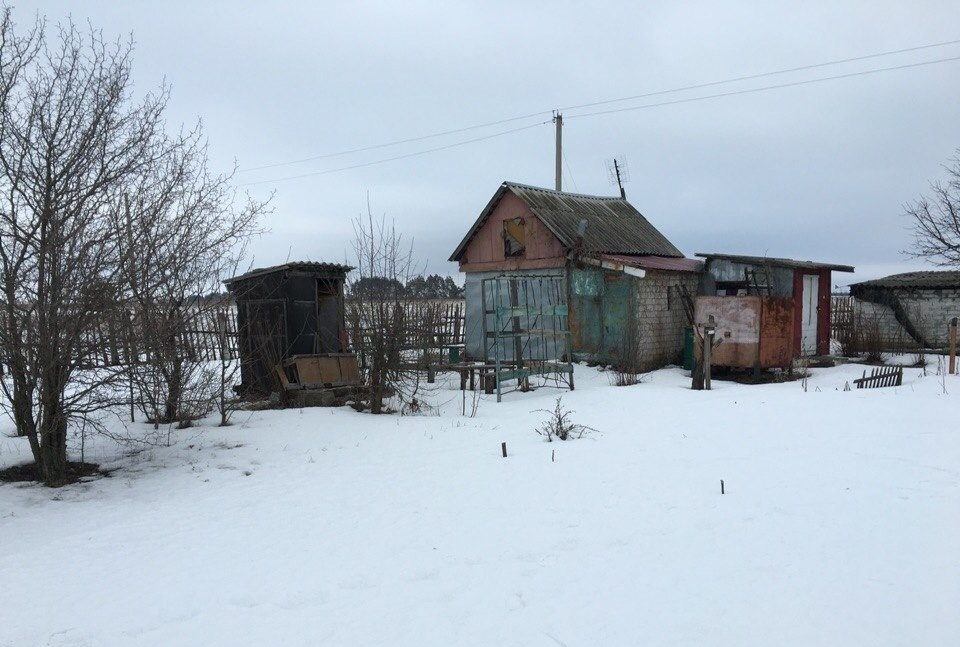 Дачи в рамонском районе продажа с фото