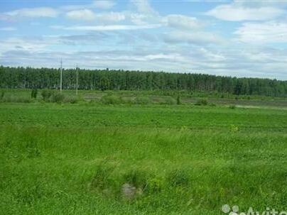 Городской округ лесной. Земельный участок Клопицы 1 гектар. Клопицы Волосовский.