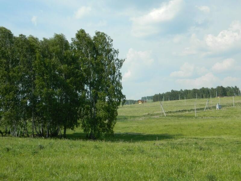 Земельные участки красноярский. Село Шуваево. Озеро Шуваево Красноярский край. Урочище штаны. Шуваево озеро Красноярский край Емельяновский район.