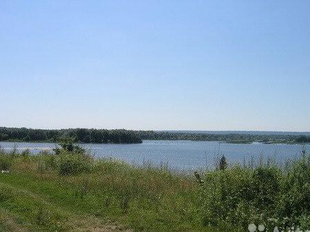 Каменки нижегородская область. Озеро Покровское Кирилловский район. Покровское озеро Вологодская область. Каменка Нижегородская область Арзамасский район. Озеро в Каменках Нижегородская область.