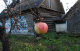 Земельные участки - Ленинградская область, Лебяжье, малая ижора дом 23 фото 1