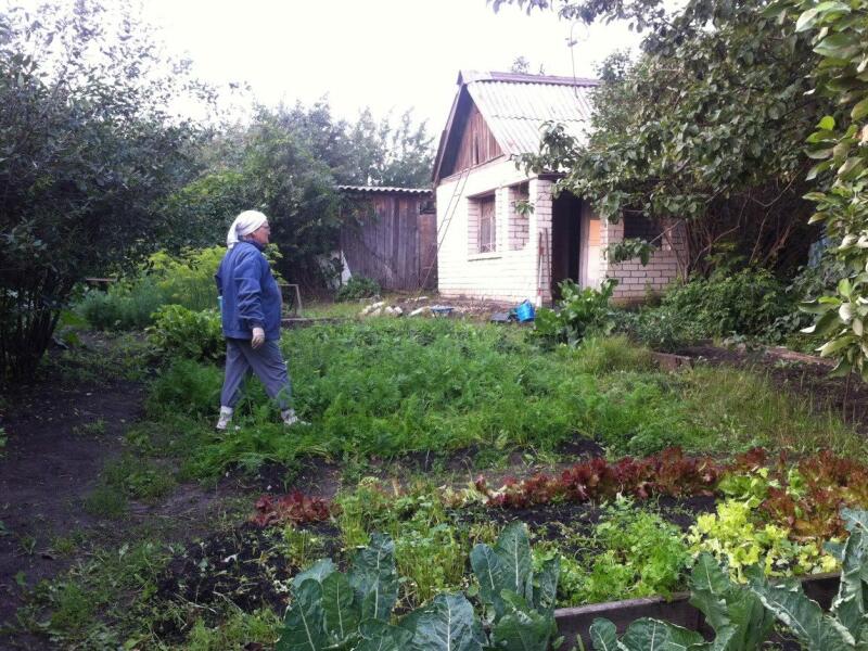 Купить Сад В Петушках В Челябинске