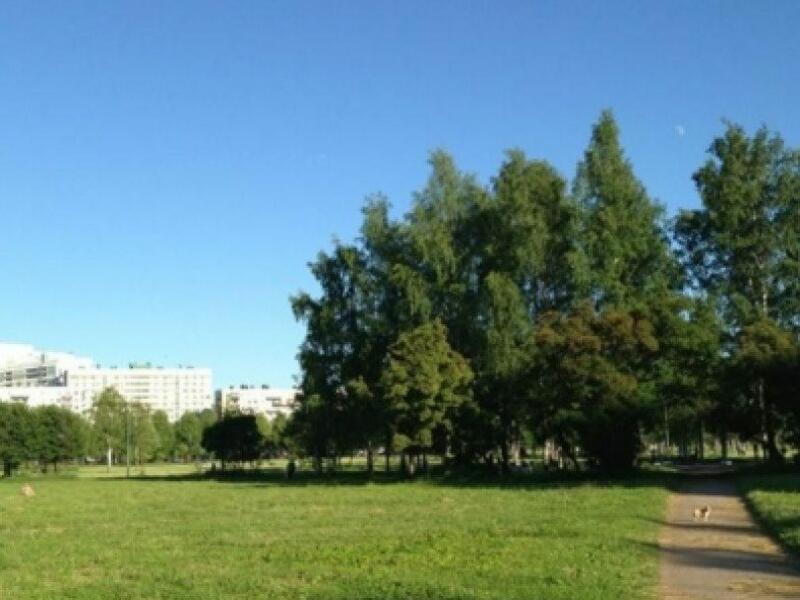 Академика парк. Парк имени Сахарова в СПБ. Парк Академика Сахарова. Пискаревский парк СПБ. Парк Академика Сахарова Санкт-Петербург фото.