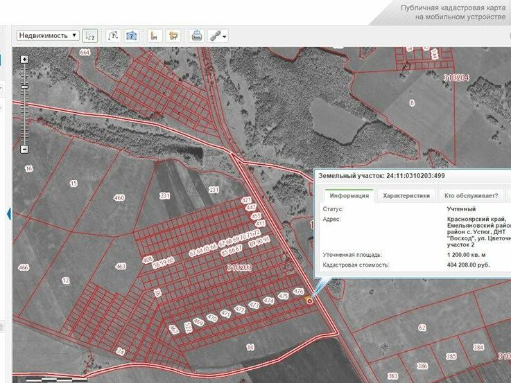 Публичная кадастровая карта красноярск емельяновский район