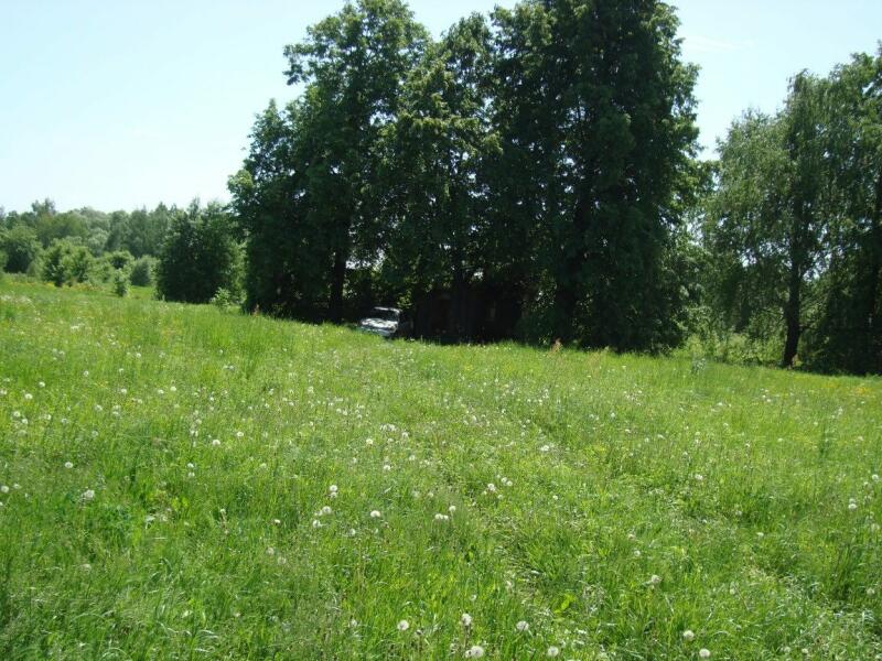 Участок в нижнем. Затон Окский Богородский район. Тру Нижегородская. Купить земельный участок в Нижегородской области. Купить земельный участок в Нижнем Новгороде.