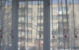 Комнаты - Ленинградская область, Ивангород, ул.Гагарина д.41 кв.4 фото 1