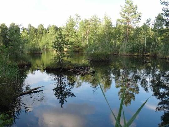 Поселок чистое нижегородской. Санагирево Нижегородская область. Кастихино деревня фото.