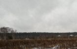 Земельные участки - Вологодская область, Череповец, д. Городище фото 1