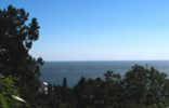 Земельные участки - Крымский полуостров, Ялта, пгт. Кореиз Парковый спуск 9 фото 1