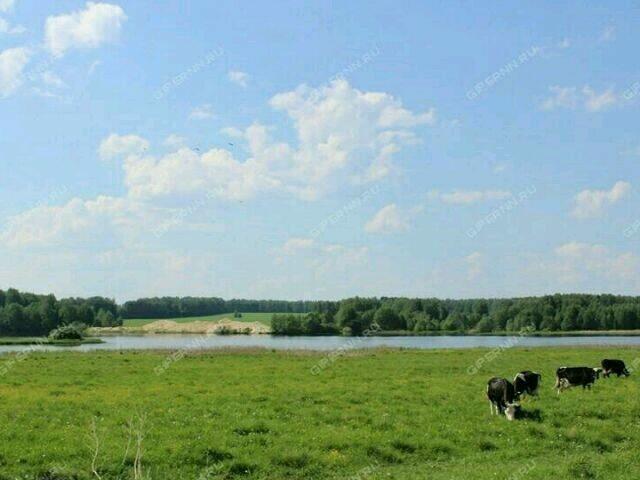 Участок в нижнем. Дресвищи Сокольский район площадь. Село Дресвищи Сокольского района.