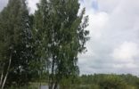 Земельные участки - Ленинградская область, Выборг, Вещево фото 1