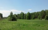 Земельные участки - Нижегородская область, Сокольское, д.Афонино фото 1