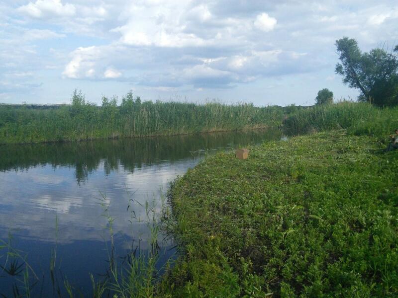 Костенки воронеж фото