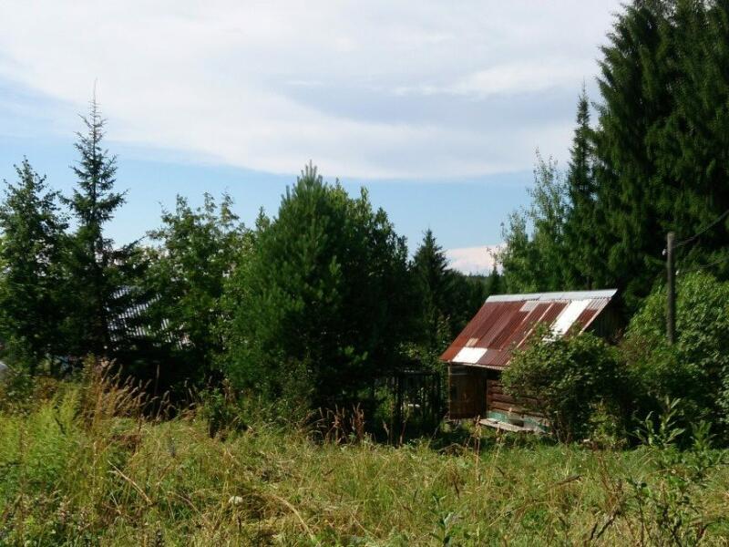 Участки пермь. Пермь СНТ дачный. Кооператив Надежда Пермский край. Садовый кооператив Надежда в Перми. СНТ дачное Старая Русса.