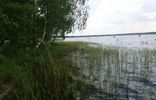 Земельные участки - Ивановская область, Тейково, озеро Рубское фото 6