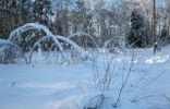Земельные участки - Владимирская область, Покров, садовое товарищество Здоровье фото 4