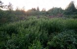 Земельные участки - Татарстан, Лаишево, некоммерческое садоводческое товарищество Виктория фото 1