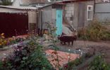 Дома, дачи, коттеджи - Воронежская область, Лиски, ул Гагарина, 56 фото 5