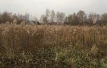 Земельные участки - Владимирская область, Суздаль, садоводческое некоммерческое товарищество Автомобилист-2, 5-я линия фото 1